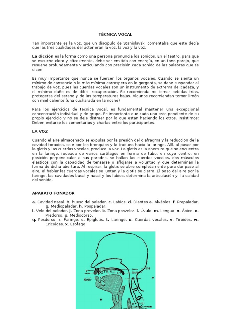 Tecnica Vocal | PDF | Anatomía | Anatomía humana