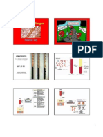 Fisiologia Do Sangue Hemerson