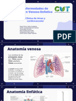 A - Enfermedades de Origen Venoso-Linfático