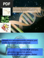 Detectia Microorganismelor Patogene Prin Metoda PCR