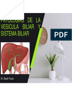 Patologías de La Vesicula Biliar y Sistema Biliar PDF
