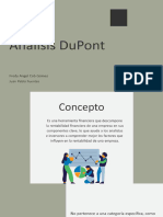 Análisis Dupont (2)