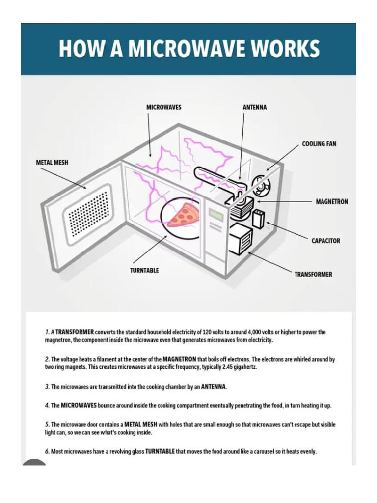 How A Microwave Works PDF