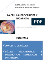Célula Procariota y Eucariota