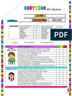 Diagnostico Individual Formato