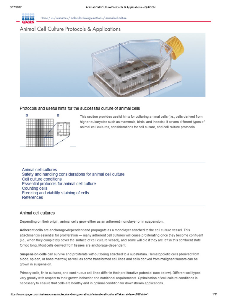 Animal Cell Culture Protocols Applications QIAGEN PDF