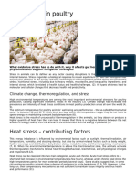 Heat Stress in Poultry