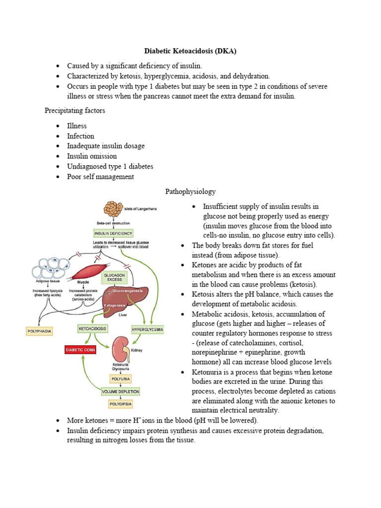 3000 Exam Notes | PDF