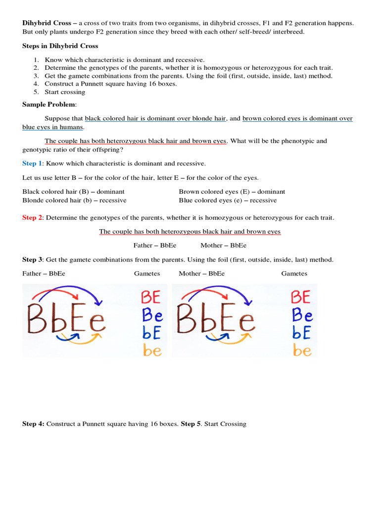 Lecture For Dihybrid And Trihybrid Cross Pdf