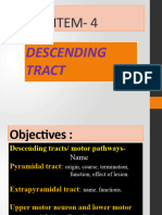 NS-4 Descending tract 