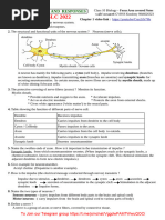 SHENIBLOG-Class 10 Biology Focus Area Covered Notes (Eng Med) All Chapters 2022