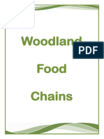 Woodland Food Chain Game