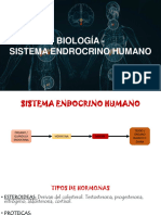 8-Sistema Endocrino Humano