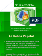 Celula Vegetal