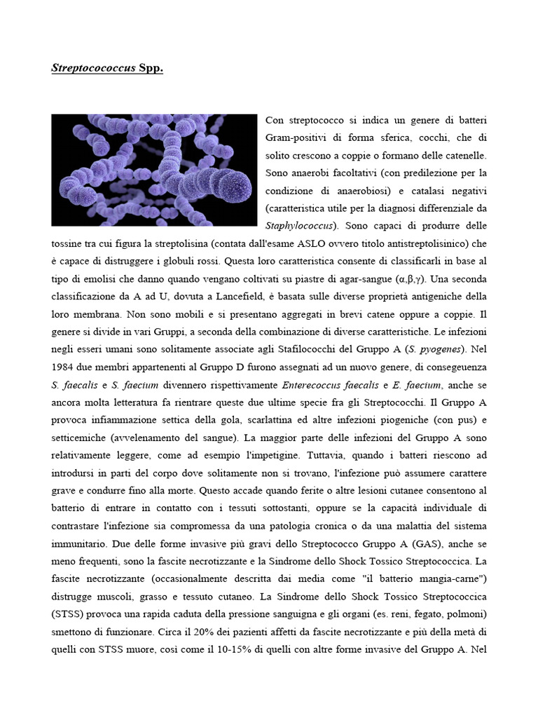 Streptocococcus SPP | PDF
