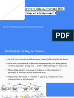 Pyruvate Kinase 2