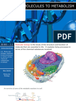 2.1 - Molecules To Metabolism