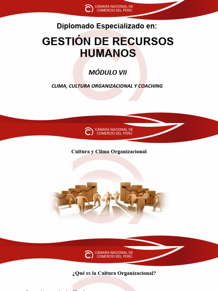 Cultura y Clima Organizacional en RRHH | PDF | Business | Gestión de ...