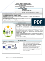 Ciencias 11