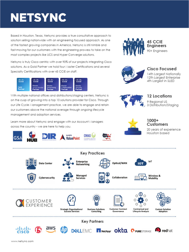 Netsync 1 Page Overview PDF Computing Information Technology