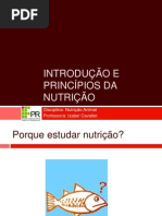 Nutrição - introdução