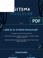 Sistema Muscular y Sistema Óseo