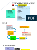Sindrome Compartimental Agudo
