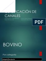 Clasificación de Canales