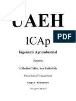 Ingeniería Agroindustrial: Reporte