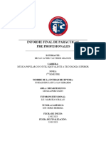 Informe Final Del Estudiante FPP 06