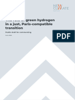 The Role of Green Hydrogen in A Just Paris-Compatible Transition