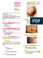 Diagnóstico de Gravidez