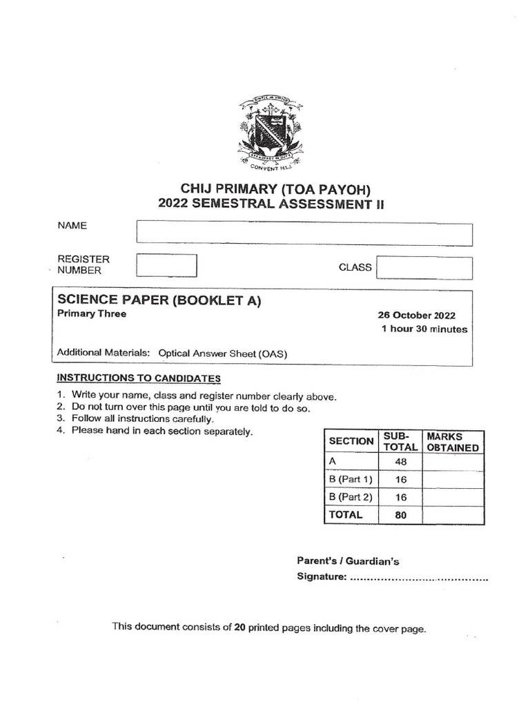 P3 Science Paper