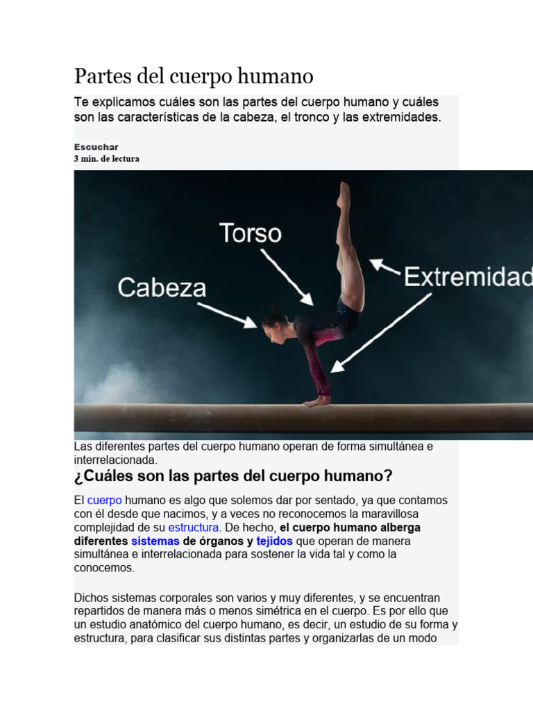 Partes Del Cuerpo Humano Básicas | PDF | Estudios de idiomas ...