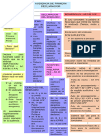 Esquema Audiencia de Primera Declaracion