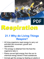 C21 Respiration
