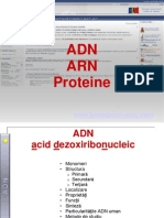 ADN_ARN_Proteine