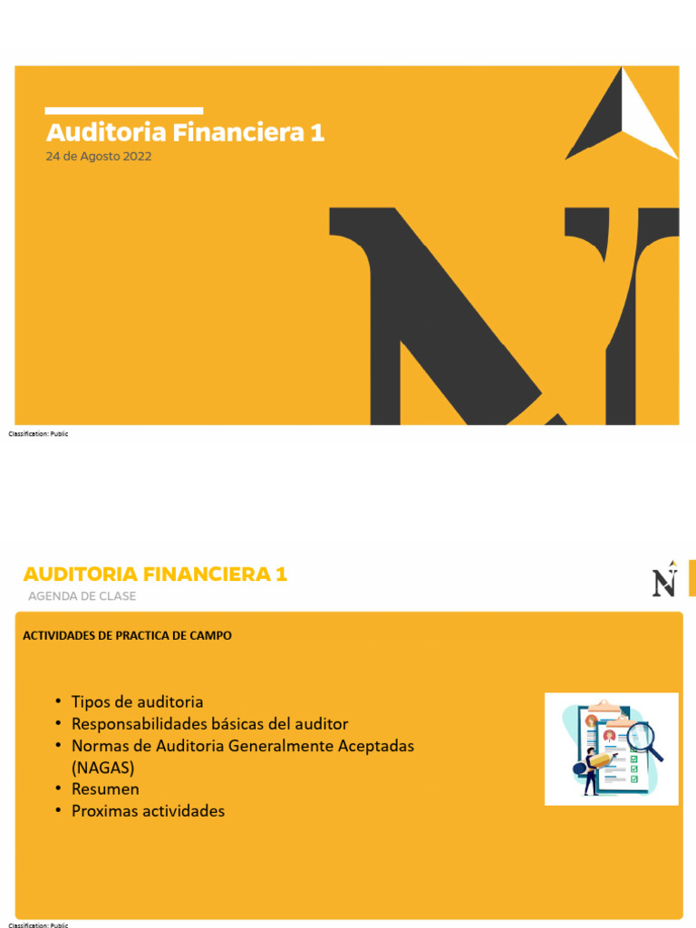 Tipos y Normas de Auditoría Financiera | PDF | Crecimiento personal y ...