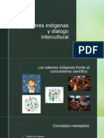 Saberes Indígenas y Dialogo Intercultural