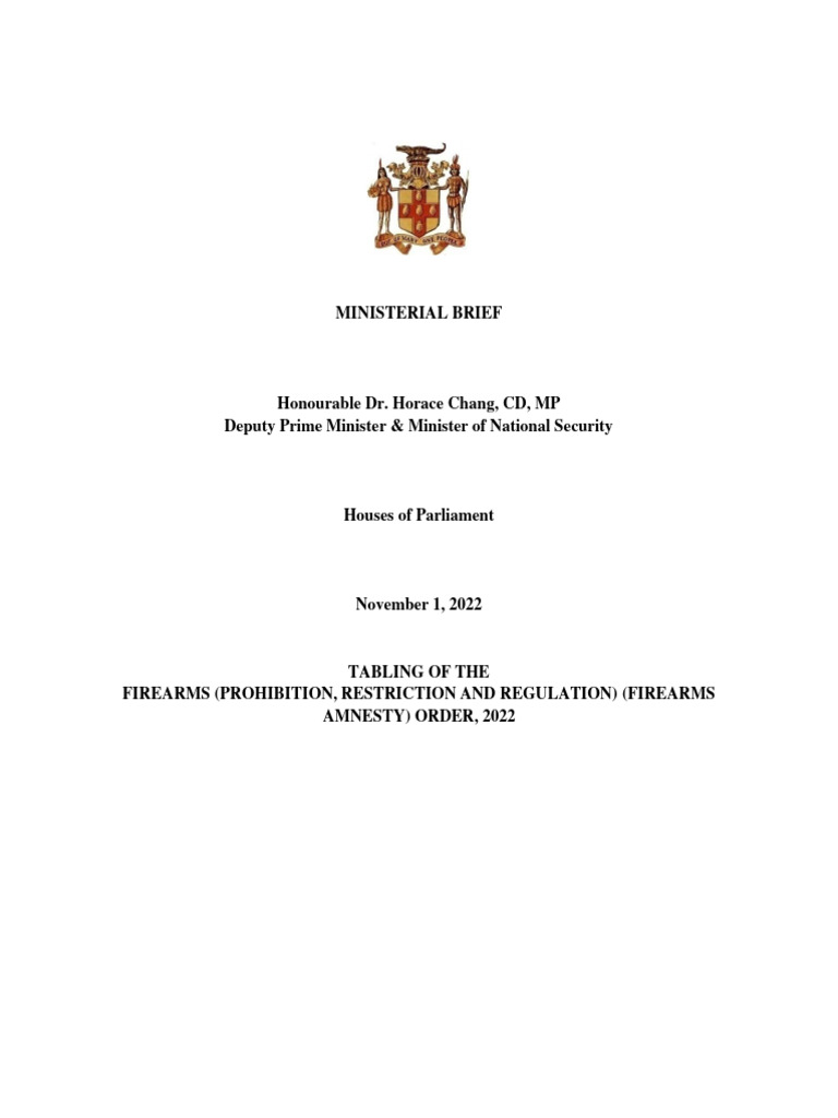 Speaking Notes For Firearm Amnesty 31.10.2022 PDF Criminal