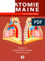 Anatomie Du Contenu Du Thorax