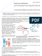 Introduccion Al Metabolismo