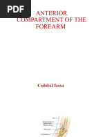 Kaplan's Cardinal Line in Hand Anatomy | PDF | Hand | Finger