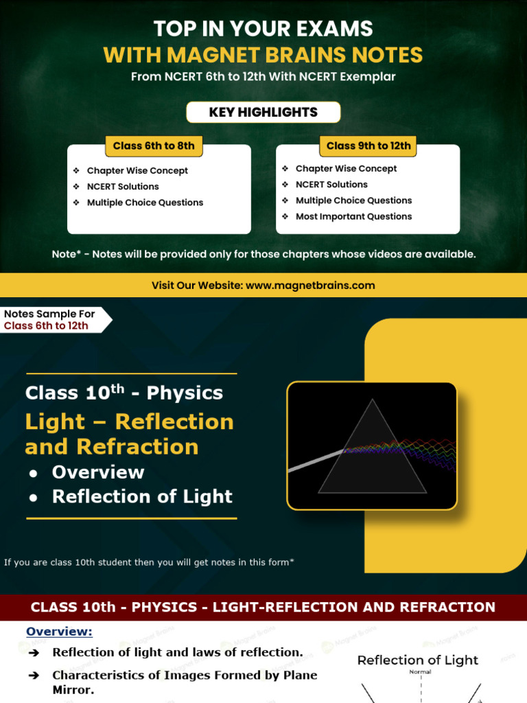 Brains Notes Sample PDF