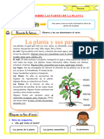 E9 Ficha d3 Com Las Partes de La Planta Coma Enumerativa