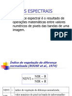 Indices Espectrais