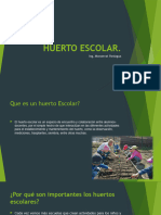 Huerto Escolar