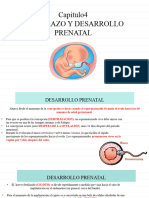 Embarazo y Desarrollo Prenatal