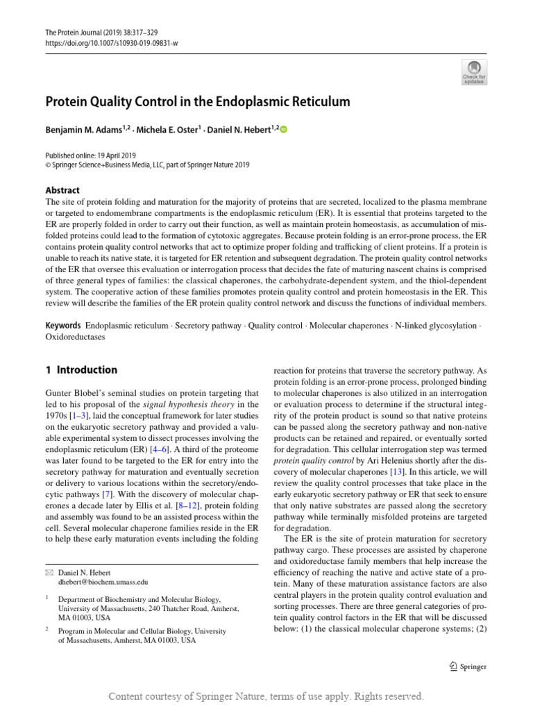 ER Protein Quality Control Mechanisms | PDF | Self-Improvement | Wellness