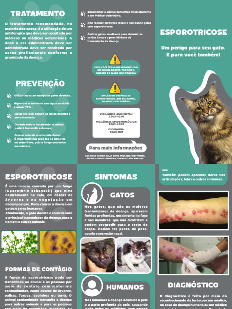 folder-sobre-a-esporotricose-grupo-rafaela-projeto-integrador-i-pdf